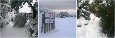 ΔΕΛΤΙΟ ΤΥΠΟΥ -  Αναβολή του αγώνα Rapsani Trail 2017 λόγω μεγάλης χιονοκάλυψης!