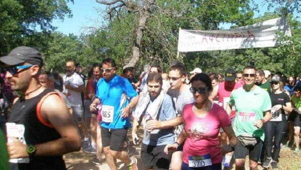 5&omicron;&sigmaf; &Lambda;&alpha;ϊ&kappa;ό&sigmaf; &alpha;&gamma;ώ&nu;&alpha;&sigmaf; &delta;&rho;ό&mu;&omicron;&upsilon; &Delta;ά&sigma;&omicron;&upsilon;&sigmaf; &Kappa;&omicron;&upsilon;&rho;ί