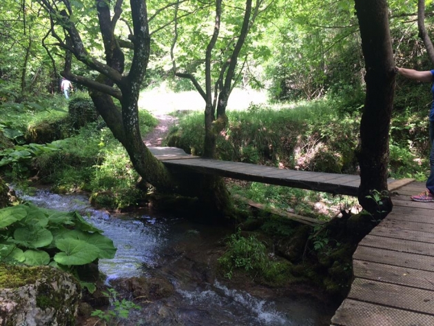 &Delta;&Epsilon;&Lambda;&Tau;&Iota;&Omicron; &Tau;&Upsilon;&Pi;&Omicron;&Upsilon; - &Omicron; &Sigma;ύ&lambda;&lambda;&omicron;&gamma;&omicron;&sigmaf; &Delta;&rho;&omicron;&mu;έ&omega;&nu; &Upsilon;&gamma;&epsilon;ί&alpha;&sigmaf; &Mu;&alpha;&rho;&alpha;&theta;&omega;&nu;&omicron;&delta;&rho;ό&mu;&omega;&nu; &Theta;ή&beta;&alpha;&sigmaf; &delta;&iota;&omicron;&rho;&gamma;&alpha;&nu;ώ&nu;&epsilon;&iota; &eta;&mu;&epsilon;&rho;ή&sigma;&iota;&alpha; &epsilon;&kappa;&delta;&rho;&omicron;&mu;ή &sigma;&tau;&eta;&nu; &Pi;&alpha;ύ&lambda;&iota;&alpha;&nu;&eta;, &tau;&eta;&nu; &Kappa;&upsilon;&rho;&iota;&alpha;&kappa;ή 12 &Iota;&omicron;&upsilon;&lambda;ί&omicron;&upsilon; 2015