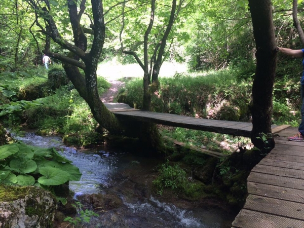 &Delta;&Epsilon;&Lambda;&Tau;&Iota;&Omicron; &Tau;&Upsilon;&Pi;&Omicron;&Upsilon; - &Omicron; &Sigma;ύ&lambda;&lambda;&omicron;&gamma;&omicron;&sigmaf; &Delta;&rho;&omicron;&mu;έ&omega;&nu; &Upsilon;&gamma;&epsilon;ί&alpha;&sigmaf; &Mu;&alpha;&rho;&alpha;&theta;&omega;&nu;&omicron;&delta;&rho;ό&mu;&omega;&nu; &Theta;ή&beta;&alpha;&sigmaf; &delta;&iota;&omicron;&rho;&gamma;&alpha;&nu;ώ&nu;&epsilon;&iota; &eta;&mu;&epsilon;&rho;ή&sigma;&iota;&alpha; &epsilon;&kappa;&delta;&rho;&omicron;&mu;ή &sigma;&tau;&eta;&nu; &Pi;&alpha;ύ&lambda;&iota;&alpha;&nu;&eta;, &tau;&eta;&nu; &Kappa;&upsilon;&rho;&iota;&alpha;&kappa;ή 12 &Iota;&omicron;&upsilon;&lambda;ί&omicron;&upsilon; 2015