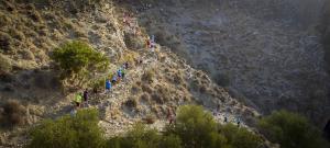 &Delta;&Epsilon;&Lambda;&Tau;&Iota;&Omicron; &Tau;&Upsilon;&Pi;&Omicron;&Upsilon; - &Mu;&epsilon;&tau;&alpha;&gamma;&omega;&nu;&iota;&sigma;&tau;&iota;&kappa;ό &delta;&epsilon;&lambda;&tau;ί&omicron; &alpha;&pi;&omicron;&tau;&epsilon;&lambda;&epsilon;&sigma;&mu;ά&tau;&omega;&nu; 6&omega;&nu; &Omicron;&rho;&epsilon;&iota;&nu;ώ&nu; &Alpha;&gamma;ώ&nu;&omega;&nu; &Kappa;&alpha;&beta;&omicron;&upsilon;&sigma;ί&omicron;&upsilon;