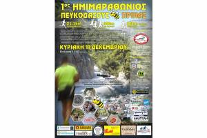 &Delta;&Epsilon;&Lambda;&Tau;&Iota;&Omicron; &Tau;&Upsilon;&Pi;&Omicron;&Upsilon; - &Pi;&rho;&omicron;&kappa;ή&rho;&upsilon;&xi;&eta; 1&omicron;&sigmaf; &Eta;&mu;&iota;&mu;&alpha;&rho;&alpha;&theta;ώ&nu;&iota;&omicron;&sigmaf; &Pi;&epsilon;&upsilon;&kappa;&omicron;&delta;ά&sigma;&omicron;&upsilon;&sigmaf; &Pi;&rho;ί&nu;&alpha;&sigmaf;