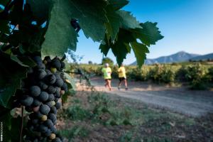 10&omicron;&sigmaf; &Alpha;&gamma;&iota;&omega;&rho;&gamma;ί&tau;&iota;&kappa;&omicron;&sigmaf; &Delta;&rho;ό&mu;&omicron;&sigmaf; - &Alpha;&pi;&omicron;&tau;&epsilon;&lambda;έ&sigma;&mu;&alpha;&tau;&alpha;