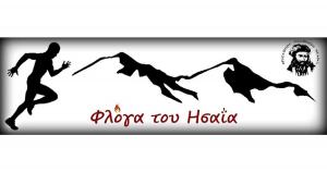 &Mu;&alpha;&tau;&alpha;ί&omega;&sigma;&eta; &tau;&omicron;&upsilon; 3&omicron;&upsilon; &Omicron;&rho;&epsilon;&iota;&nu;&omicron;ύ &Alpha;&gamma;ώ&nu;&alpha; &laquo;&Phi;&lambda;ό&gamma;&alpha; &tau;&omicron;&upsilon; &Eta;&sigma;&alpha;ΐ&alpha;&raquo;