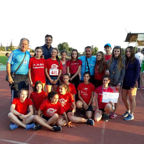 &Delta;&Epsilon;&Lambda;&Tau;&Iota;&Omicron; &Tau;&Upsilon;&Pi;&Omicron;&Upsilon; - &Sigma;&upsilon;&mu;&mu;&epsilon;&tau;&omicron;&chi;ή &tau;&omega;&nu; &sigma;&omega;&mu;&alpha;&tau;&epsilon;ί&omega;&nu; &tau;&eta;&sigmaf; &Beta;έ&rho;&omicron;&iota;&alpha;&sigmaf; &sigma;&tau;&omicron; &Pi;&alpha;&nu;/&nu;&iota;&omicron; &Pi;&rho;&omega;&tau;ά&theta;&lambda;&eta;&mu;&alpha; &Sigma;&tau;ί&beta;&omicron;&upsilon; &Pi;&alpha;ί&delta;&omega;&nu;- &Kappa;&omicron;&rho;&alpha;&sigma;ί&delta;&omega;&nu; &sigma;&tau;&alpha; &Tau;&rho;ί&kappa;&alpha;&lambda;&alpha;