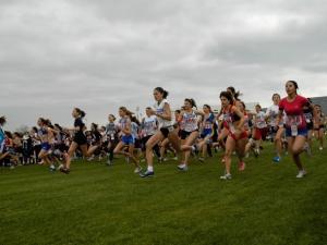 &Delta;ύ&sigma;&kappa;&omicron;&lambda;&omicron;&sigmaf; &kappa;&alpha;&iota;&rho;ό&sigmaf;, &delta;&upsilon;&nu;&alpha;&tau;έ&sigmaf; &mu;&omicron;&nu;&omicron;&mu;&alpha;&chi;ί&epsilon;&sigmaf; &kappa;&alpha;&iota; &alpha;&nu;&alpha;&tau;&rho;&omicron;&pi;έ&sigmaf; &sigma;&tau;&omicron; &Pi;&alpha;&nu;&epsilon;&lambda;&lambda;ή&nu;&iota;&omicron; &Pi;&rho;&omega;&tau;ά&theta;&lambda;&eta;&mu;&alpha; &alpha;&nu;&omega;&mu;ά&lambda;&omicron;&upsilon; &delta;&rho;ό&mu;&omicron;&upsilon;