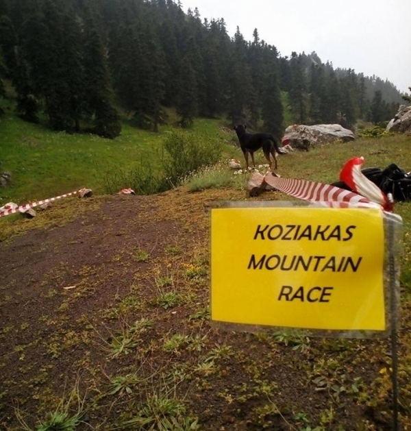 Koziakas Mountain Race 2017 - &Alpha;&pi;&omicron;&tau;&epsilon;&lambda;έ&sigma;&mu;&alpha;&tau;&alpha;