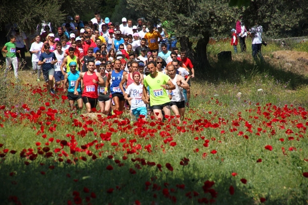 &Delta;&Epsilon;&Lambda;&Tau;&Iota;&Omicron; &Tau;&Upsilon;&Pi;&Omicron;&Upsilon; - &Tau;&omicron; &pi;&rho;ό&gamma;&rho;&alpha;&mu;&mu;&alpha; &tau;&omega;&nu; 3&omega;&nu; &Pi;&Alpha;&Nu;&Tau;&Rho;&Omicron;&Iota;&Zeta;&Eta;&Nu;&Iota;&Alpha;&Kappa;&Omega;&Nu; &Alpha;&Gamma;&Omega;&Nu;&Omega;&Nu; &laquo;&Sigma;&tau;&omicron; &Delta;&rho;ό&mu;&omicron; &tau;&omicron;&upsilon; &Theta;&eta;&sigma;έ&alpha;&raquo;