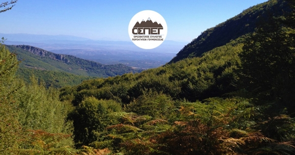 &Delta;&Epsilon;&Lambda;&Tau;&Iota;&Omicron; &Tau;&Upsilon;&Pi;&Omicron;&Upsilon; -  &Pi;&rho;ό&gamma;&rho;&alpha;&mu;&mu;&alpha; 5&omicron;&upsilon; &Eta;&Mu;&Iota;&Mu;&Alpha;&Rho;&Alpha;&Theta;&Omega;&Nu;&Iota;&Omicron;&Upsilon; &Pi;&Alpha;Ϊ&Kappa;&Omicron;&Upsilon; 1-11-2015