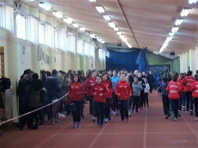 &Mu;&epsilon;&gamma;ά&lambda;&eta; &sigma;&upsilon;&mu;&mu;&epsilon;&tau;&omicron;&chi;ή &sigma;&tau;&eta;&nu; &pi;&rho;&omicron;&pi;&omicron;&nu;&eta;&tau;&iota;&kappa;ή &eta;&mu;&epsilon;&rho;ί&delta;&alpha; &tau;&omega;&nu; &Tau;&rho;&iota;&kappa;ά&lambda;&omega;&nu;