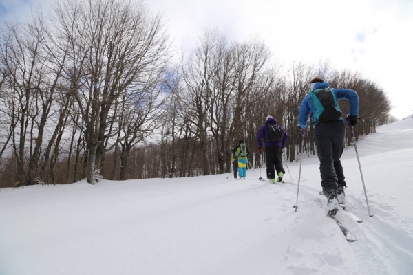 &Delta;&Epsilon;&Lambda;&Tau;&Iota;&Omicron; &Tau;&Upsilon;&Pi;&Omicron;&Upsilon; - &Eta; &Nu;ύ&chi;&tau;&alpha; &tau;&omega;&nu; &Kappa;&epsilon;&nu;&tau;&alpha;ύ&rho;&omega;&nu; (Night of the Centaurs), &mu;&epsilon; &sigma;&upsilon;&mu;&mu;&epsilon;&tau;&omicron;&chi;έ&sigmaf; &kappa;&alpha;&iota; &mu;&epsilon;&lambda;ώ&nu; &tau;&omicron;&upsilon; &Sigma;&upsilon;&lambda;&lambda;ό&gamma;&omicron;&upsilon; "&Tau;&rho;&alpha;&chi;ί&nu;&alpha;"