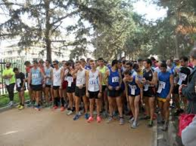 &Tau;&eta;&nu; &Kappa;&upsilon;&rho;&iota;&alpha;&kappa;ή &omicron; &Alpha;&gamma;ώ&nu;&alpha;&sigmaf; "&Kappa;. &Kappa;&omicron;&tau;&zeta;&iota;ά" &kappa;&alpha;&iota; &tau;&omicron; &Pi;&epsilon;&rho;&iota;&phi;&epsilon;&rho;&epsilon;&iota;&alpha;&kappa;ό &Pi;&rho;&omega;&tau;ά&theta;&lambda;&eta;&mu;&alpha; &sigma;&epsilon; &alpha;&nu;ώ&mu;&alpha;&lambda;&omicron; έ&delta;&alpha;&phi;&omicron;&sigmaf;