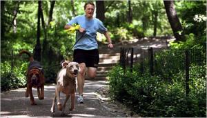 &Omicron; &Pi;&alpha;&nu;&tau;&epsilon;&lambda;ή&sigmaf; &Kappa;&alpha;&psi;ή&sigmaf; &kappa;&alpha;&iota; &omicron; &sigma;&kappa;ύ&lambda;&omicron;&sigmaf; &tau;&omicron;&upsilon; &Gamma;&iota;ά&nu;&nu;&eta; &Beta;&alpha;&rho;&omicron;&upsilon;&beta;ά&kappa;&eta;