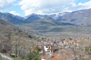 &Delta;&Epsilon;&Lambda;&Tau;&Iota;&Omicron; &Tau;&Upsilon;&Pi;&Omicron;&Upsilon; - &Pi;&rho;&omicron;&kappa;ή&rho;&upsilon;&xi;&eta; 1&omicron;&sigmaf; &alpha;&gamma;ώ&nu;&alpha;&sigmaf; &Mu;&alpha;ύ&rho;&omicron;&upsilon; &Delta;ά&sigma;&omicron;&upsilon;&sigmaf; Ό&rho;&mu;&alpha;&sigmaf; &Alpha;&lambda;&mu;&omega;&pi;ί&alpha;&sigmaf;