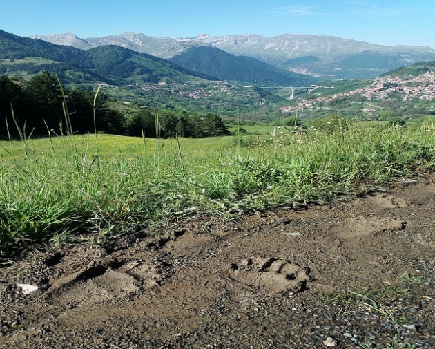 Ursa Trail 2018