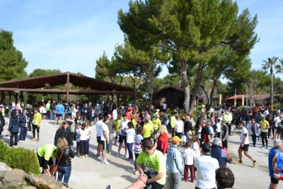 &Delta;&Epsilon;&Lambda;&Tau;&Iota;&Omicron; &Tau;&Upsilon;&Pi;&Omicron;&Upsilon; - &laquo;&Delta;&eta;&mu;&eta;&tau;&rho;&omicron;&pi;&omicron;ύ&lambda;&epsilon;&iota;&alpha;&raquo;: &Eta; &pi;&iota;&omicron; &mu;&epsilon;&gamma;ά&lambda;&eta; &gamma;&iota;&omicron;&rho;&tau;ή &tau;&omicron;&upsilon; &alpha;&theta;&lambda;&eta;&tau;&iota;&sigma;&mu;&omicron;ύ &sigma;&tau;&eta; &Rho;&alpha;&phi;ή&nu;&alpha;!