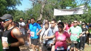 &Delta;&Epsilon;&Lambda;&Tau;&Iota;&Omicron; &Tau;&Upsilon;&Pi;&Omicron;&Upsilon; - &Pi;&rho;&omicron;&kappa;ή&rho;&upsilon;&xi;&eta; 5&omicron;&sigmaf; &Lambda;&alpha;ϊ&kappa;ό&sigmaf; &alpha;&gamma;ώ&nu;&alpha;&sigmaf; &delta;&rho;ό&mu;&omicron;&upsilon; &Delta;ά&sigma;&omicron;&upsilon;&sigmaf; &Kappa;&omicron;&upsilon;&rho;ί