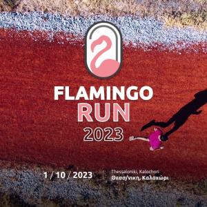 Flamingo Run 2023