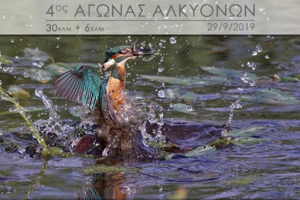 4&omicron;&sigmaf; &Alpha;&gamma;ώ&nu;&alpha;&sigmaf; &delta;&rho;ό&mu;&omicron;&upsilon; 30 &chi;&lambda;&mu;. &ldquo;&Omicron; &Delta;&Rho;&Omicron;&Mu;&Omicron;&Sigma; &Tau;&Omega;&Nu; &Alpha;&Lambda;&Kappa;&Upsilon;&Omicron;&Nu;&Omega;&Nu;&rdquo;