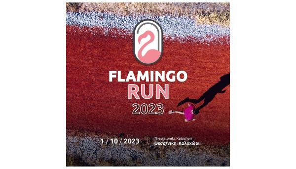 Flamingo Run 2023