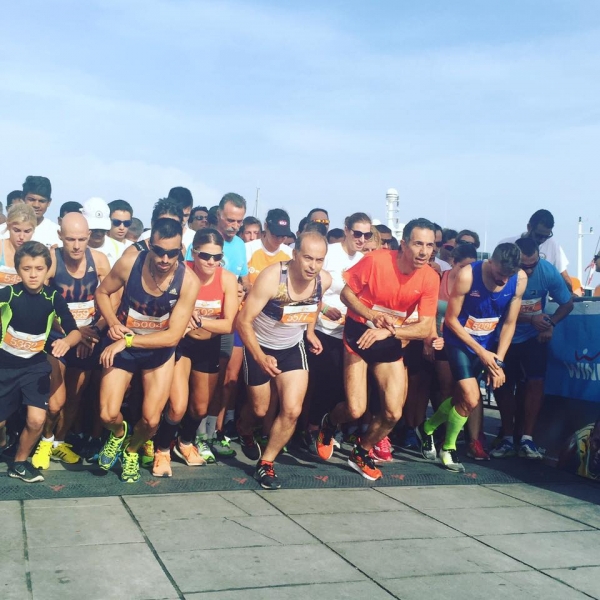 &Delta;&Epsilon;&Lambda;&Tau;&Iota;&Omicron; &Tau;&Upsilon;&Pi;&Omicron;&Upsilon; -  &Omicron; &Kappa;&alpha;&rho;&nu;έ&zeta;&eta;&sigmaf; &Sigma;&pi;&upsilon;&rho;&omicron;&sigmaf; &Alpha;&nu;&tau;&iota;&delta;ή&mu;&alpha;&rho;&chi;&omicron;&sigmaf; &Gamma;&alpha;&lambda;&alpha;&tau;ά &sigma;&tau;&eta;&nu; &Alpha;ί&gamma;&iota;&nu;&alpha;