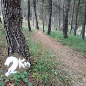 &Alpha;&kappa;ύ&rho;&omega;&sigma;&eta; 2&omicron;&sigmaf; &Alpha;&gamma;ώ&nu;&alpha;&sigmaf; City Trail &Alpha;&gamma;&rho;&iota;&nu;ί&omicron;&upsilon;