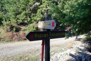 &Eta; &Kappa;&alpha;&lambda;&iota;&alpha;&kappa;&omicron;ύ&delta;&alpha; &pi;&omicron;&upsilon; έ&gamma;&iota;&nu;&epsilon; &phi;ί&rho;&mu;&alpha;!