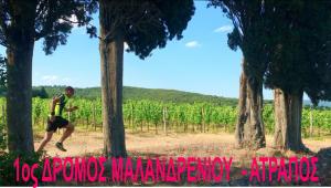 (&Alpha;&Tau;&Rho;&Alpha;&Pi;&Omicron;&Sigma;) 1&omicron;&sigmaf; &Alpha;&gamma;ώ&nu;&alpha;&sigmaf; &Delta;&rho;ό&mu;&omicron;&upsilon; &Alpha;&nu;&alpha;&psi;&upsilon;&chi;ή&sigmaf; &Mu;&alpha;&lambda;&alpha;&nu;&delta;&rho;&epsilon;&nu;ί&omicron;&upsilon;