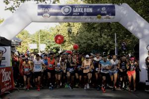 &Delta;&Epsilon;&Lambda;&Tau;&Iota;&Omicron; &Tau;&Upsilon;&Pi;&Omicron;&Upsilon; - &Nu;&iota;&kappa;&eta;&tau;ή&sigmaf; &omicron; &Kappa;. &Sigma;&tau;&alpha;&mu;&omicron;ύ&lambda;&eta;&sigmaf;, &rho;&epsilon;&kappa;ό&rho; &delta;&iota;&alpha;&delta;&rho;&omicron;&mu;ή&sigmaf; &eta; &Epsilon;&lambda;. &Pi;&epsilon;&tau;&rho;&omicron;&upsilon;&lambda;ά&kappa;&eta; &sigma;&tau;&omicron; 13&omicron; &Gamma;ύ&rho;&omicron; &Lambda;ί&mu;&nu;&eta;&sigmaf; &Iota;&omega;&alpha;&nu;&nu;ί&nu;&omega;&nu;