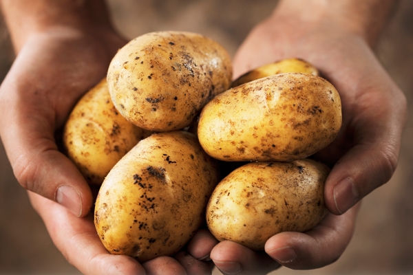 &Eta; &alpha;&lambda;ή&theta;&epsilon;&iota;&alpha; &pi;&omicron;&upsilon; &delta;&epsilon;&nu; &gamma;&nu;ώ&rho;&iota;&zeta;&epsilon;&sigmaf; &gamma;&iota;&alpha; &tau;&eta;&nu; &Pi;&alpha;&tau;ά&tau;&alpha;!