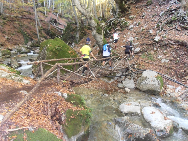 6&omicron;&sigmaf; &Eta;&mu;&iota;&mu;&alpha;&rho;&alpha;&theta;ώ&nu;&iota;&omicron;&sigmaf; &Pi;ά&iota;&kappa;&omicron;&upsilon; - &Alpha;&pi;&omicron;&tau;&epsilon;&lambda;έ&sigma;&mu;&alpha;&tau;&alpha;