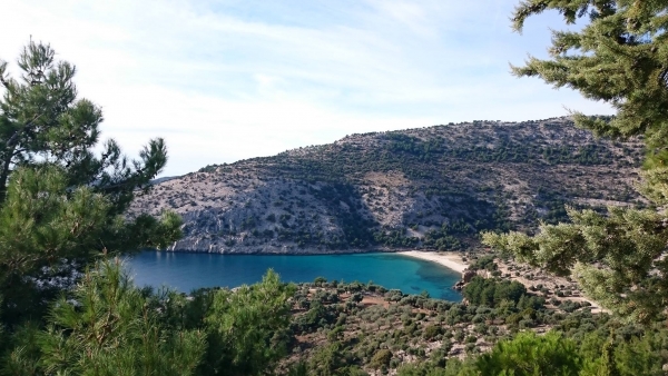 &Delta;&Epsilon;&Lambda;&Tau;&Iota;&Omicron; &Tau;&Upsilon;&Pi;&Omicron;&Upsilon; - &Pi;&rho;&omicron;&kappa;ή&rho;&upsilon;&xi;&eta; 1&omicron;&sigmaf; &Theta;&Epsilon;&Alpha;&Gamma;&Epsilon;&Nu;&Iota;&Omicron;&Sigma; &Delta;&Rho;&Omicron;&Mu;&Omicron;&Sigma; &Theta;&Alpha;&Sigma;&Omicron;&Upsilon; 2016 100 &Kappa;m