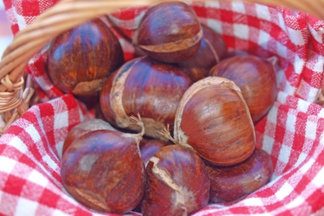 &Kappa;ά&sigma;&tau;&alpha;&nu;&alpha;, &omicron; &theta;&eta;&sigma;&alpha;&upsilon;&rho;ό&sigmaf; &tau;&omicron;&upsilon; &chi;&epsilon;&iota;&mu;ώ&nu;&alpha;