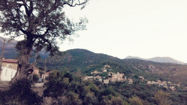 &Delta;&Epsilon;&Lambda;&Tau;&Iota;&Omicron; &Tau;&Upsilon;&Pi;&Omicron;&Upsilon; - &Alpha;&nu;ά&lambda;&upsilon;&sigma;&eta; &tau;&omicron;&upsilon; &omicron;&nu;ό&mu;&alpha;&tau;&omicron;&sigmaf; &Beta;&Rho;&Upsilon;&Sigma;&Epsilon;&Alpha;&Delta;&Alpha;!