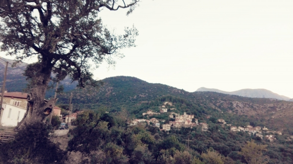 &Delta;&Epsilon;&Lambda;&Tau;&Iota;&Omicron; &Tau;&Upsilon;&Pi;&Omicron;&Upsilon; - &Alpha;&nu;ά&lambda;&upsilon;&sigma;&eta; &tau;&omicron;&upsilon; &omicron;&nu;ό&mu;&alpha;&tau;&omicron;&sigmaf; &Beta;&Rho;&Upsilon;&Sigma;&Epsilon;&Alpha;&Delta;&Alpha;!