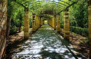 "&Delta;&rho;&omicron;&sigma;&epsilon;&rho;ά"  &mu;έ&rho;&eta; &gamma;&iota;&alpha; &Tau;&rho;έ&xi;&iota;&mu;&omicron; &mu;έ&sigma;&alpha; &sigma;&tau;&eta;&nu; &Alpha;&theta;ή&nu;&alpha;