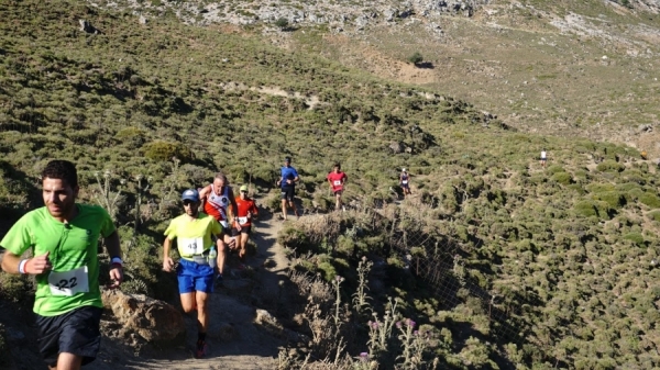 3&omicron;&sigmaf; &Omicron;&rho;&epsilon;&iota;&beta;&alpha;&tau;&iota;&kappa;ό&sigmaf; &alpha;&gamma;ώ&nu;&alpha; &delta;&rho;ό&mu;&omicron;&upsilon; "&Sigma;&tau;&omicron; &mu;&omicron;&nu;&omicron;&pi;ά&tau;&iota; &tau;&omicron;&upsilon; &Pi;&lambda;ά&tau;&omega;&nu;&alpha;"