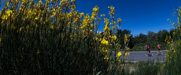 &Delta;&Epsilon;&Lambda;&Tau;&Iota;&Omicron; &Tau;&Upsilon;&Pi;&Omicron;&Upsilon; - &Omicron;&lambda;&omicron;&kappa;&lambda;&eta;&rho;ώ&theta;&eta;&kappa;&epsilon; &mu;&epsilon; &mu;&epsilon;&gamma;ά&lambda;&eta; &epsilon;&pi;&iota;&tau;&upsilon;&chi;ί&alpha; &tau;&omicron; Skiritida Run!