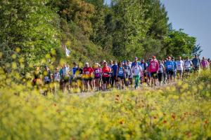 &Delta;&rho;ό&mu;&omicron;&sigmaf; &Epsilon;&kappa;&epsilon;&chi;&epsilon;&iota;&rho;ί&alpha;&sigmaf; 2019