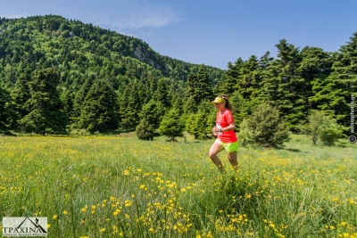 &Delta;&Epsilon;&Lambda;&Tau;&Iota;&Omicron; &Tau;&Upsilon;&Pi;&Omicron;&Upsilon; - &Mu;&epsilon;&tau;&alpha;&gamma;&omega;&nu;&iota;&sigma;&tau;&iota;&kappa;ό &delta;&epsilon;&lambda;&tau;ί&omicron; &tau;ύ&pi;&omicron;&upsilon; 8&omicron; &Omicron;&rho;&epsilon;&iota;&nu;ό&sigmaf; &Alpha;&gamma;ώ&nu;&alpha;&sigmaf; &Tau;&rho;&epsilon;&xi;ί&mu;&alpha;&tau;&omicron;&sigmaf;