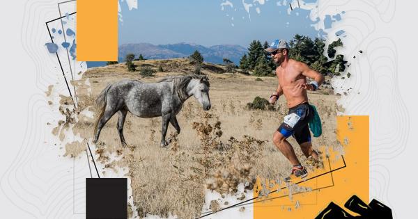 16&omicron;&sigmaf; &Omicron;&rho;&epsilon;&iota;&nu;ό&sigmaf; &Mu;&alpha;&rho;&alpha;&theta;ώ&nu;&iota;&omicron;&sigmaf; &Omicron;ί&tau;&eta;&sigmaf; &Eta;&rho;&alpha;&kappa;&lambda;ή&sigmaf; : &Pi;&rho;ό&gamma;&rho;&alpha;&mu;&mu;&alpha; &alpha;&gamma;ώ&nu;&omega;&nu;