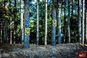 Tihiorace Trail Running