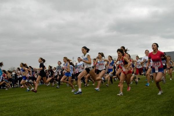 &Eta; &pi;&rho;&omicron;&kappa;ή&rho;&upsilon;&xi;&eta; &gamma;&iota;&alpha; &tau;&omicron; &Pi;&alpha;&nu;&epsilon;&lambda;&lambda;ή&nu;&iota;&omicron; &Pi;&rho;&omega;&tau;ά&theta;&lambda;&eta;&mu;&alpha; &delta;&rho;ό&mu;&omicron;&upsilon; &sigma;&epsilon; &alpha;&nu;ώ&mu;&alpha;&lambda;&omicron; έ&delta;&alpha;&phi;&omicron;&sigmaf;