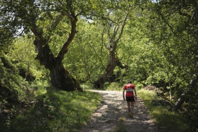 &Delta;&Epsilon;&Lambda;&Tau;&Iota;&Omicron; &Tau;&Upsilon;&Pi;&Omicron;&Upsilon; - &Pi;&rho;&omicron;&kappa;ή&rho;&upsilon;&xi;&eta; Lesvos Trail 2016
