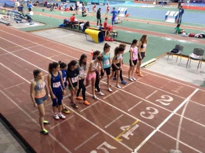 &Alpha;&lambda;&lambda;&alpha;&gamma;ή &sigma;&tau;&omicron; &pi;&rho;ό&gamma;&rho;&alpha;&mu;&mu;&alpha; &tau;&eta;&sigmaf; &eta;&mu;&epsilon;&rho;ί&delta;&alpha;&sigmaf; &sigma;&tau;&omicron; &Sigma;&Epsilon;&Phi; (31/1)