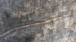 &Alpha;&gamma;ώ&nu;&alpha;&sigmaf; &Delta;&rho;ό&mu;&omicron;&upsilon; &gamma;&iota;&alpha; &tau;&eta;&nu; &epsilon;&nu;ί&sigma;&chi;&upsilon;&sigma;&eta; &pi;&upsilon;&rho;ό&pi;&lambda;&eta;&kappa;&tau;&omega;&nu; &amp; &pi;&lambda;&eta;&mu;&mu;&upsilon;&rho;&omicron;&pi;&alpha;&theta;ώ&nu; &sigma;&tau;&omicron; &Pi;&epsilon;&upsilon;&kappa;ί &Epsilon;&upsilon;&beta;&omicron;ί&alpha;&sigmaf;