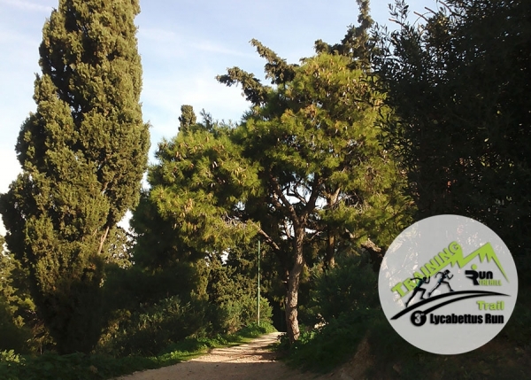 &Delta;&Epsilon;&Lambda;&Tau;&Iota;&Omicron; &Tau;&Upsilon;&Pi;&Omicron;&Upsilon; - &Pi;&rho;&omicron;&pi;&omicron;&nu;ή&sigma;&epsilon;&iota;&sigmaf; &sigma;&tau;&iota;&sigmaf; trail &delta;&iota;&alpha;&delta;&rho;&omicron;&mu;έ&sigmaf; &tau;&omicron;&upsilon; Lycabettus Run! | 3rd Lycabettus Run &Kappa;&upsilon;&rho;&iota;&alpha;&kappa;ή 12 &Mu;&alpha;&rho;&tau;ί&omicron;&upsilon; 2017