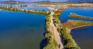 &Sigma;&pi;&omicron;&upsilon;&delta;&alpha;ί&epsilon;&sigmaf; &Delta;&rho;ά&sigma;&epsilon;&iota;&sigmaf; &gamma;&iota;&alpha; &tau;&eta;&nu; &Epsilon;&kappa;&pi;&alpha;ί&delta;&epsilon;&upsilon;&sigma;&eta;, &tau;&eta;&nu; &Omicron;&delta;&iota;&kappa;ή &Alpha;&sigma;&phi;ά&lambda;&epsilon;&iota;&alpha; &kappa;&alpha;&iota; &tau;&omicron; &Pi;&epsilon;&rho;&iota;&beta;ά&lambda;&lambda;&omicron;&nu; &sigma;&tau;&omicron; Navarino Challenge 2024