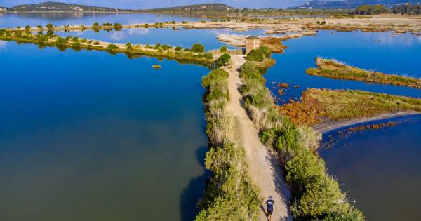 &Sigma;&pi;&omicron;&upsilon;&delta;&alpha;ί&epsilon;&sigmaf; &Delta;&rho;ά&sigma;&epsilon;&iota;&sigmaf; &gamma;&iota;&alpha; &tau;&eta;&nu; &Epsilon;&kappa;&pi;&alpha;ί&delta;&epsilon;&upsilon;&sigma;&eta;, &tau;&eta;&nu; &Omicron;&delta;&iota;&kappa;ή &Alpha;&sigma;&phi;ά&lambda;&epsilon;&iota;&alpha; &kappa;&alpha;&iota; &tau;&omicron; &Pi;&epsilon;&rho;&iota;&beta;ά&lambda;&lambda;&omicron;&nu; &sigma;&tau;&omicron; Navarino Challenge 2024