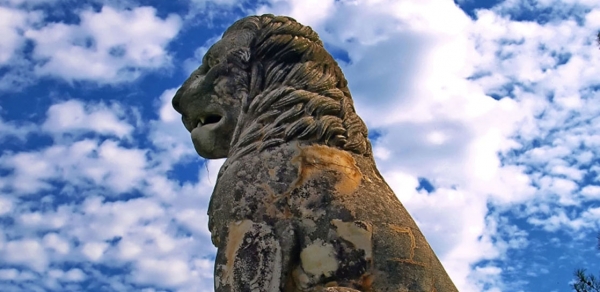 1&omicron;&sigmaf; &Alpha;&gamma;ώ&nu;&alpha; &Delta;&rho;ό&mu;&omicron;&upsilon; &Alpha;&mu;&phi;ί&pi;&omicron;&lambda;&eta;&sigmaf; (&Beta;&rho;&alpha;&sigma;ί&delta;&epsilon;&iota;&omicron;&sigmaf; &delta;&rho;ό&mu;&omicron;&sigmaf;) - &Alpha;&pi;&omicron;&tau;&epsilon;&lambda;έ&sigma;&mu;&alpha;&tau;&alpha;